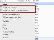 Copiare contenuti testuali Windows: come fare?
