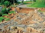 prato consolidante terreno