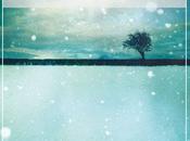 cadde neve William Kotzwinkle