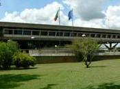 Ambasciatori green