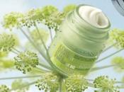 PREVIEW L'Occitane:Nuova Linea Idratante base ANGELICA BIOLOGICA