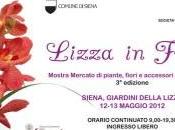 Siena: mostra fiori giardini della Lizza