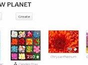 Creare puzzle inserire blog