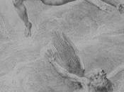 sopravvivenza Icaro" Susan Stewart