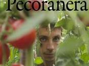 Progetto Pecoranera