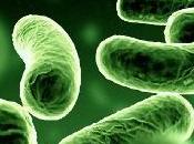 Infezioni intestinali: come combatterle?