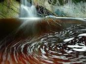 Borneo malese Gianfranco Mattu