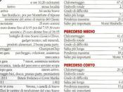 20/5 lungo Penisola. schede