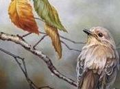 Grecia prepara uscire, dopo?