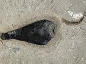 Inchiostro preistorico