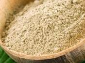 L’argilla antibatterica