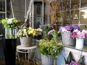 Tulip fiori e... _luoghi "green"