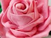 Ancora rose: rosa