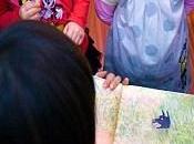 Aprire libreria bambini. puntata: prezzo libro