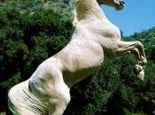 Nuvola grigia vola posted Valeria Borgia