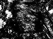 Emma Tempest feat. Vera Dolce Gabbana Vogue Portugal 2010