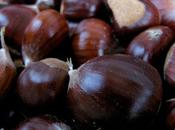 castagna, energetico gustoso alimento autunnale