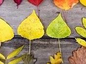 Giardini d'artista Artemis Russel