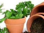 Orto giardino mese ottobre