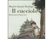 cucciolo