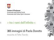 Populus rami dell’infinito