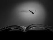 Scrittura condivisa sotto stelle