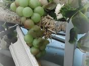 solita stanca vita...