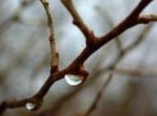 Settimo Pietro Uomo toglie vita