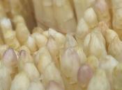 Risotto agli asparagi bianche Cimadolmo