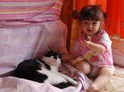 Roba gatti: nessun dorma!
