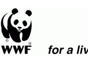 WWF: “Riutilizziamo l’Italia, cercasi nuove idee reinventare territorio senza consumarlo”