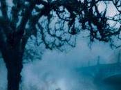 Avvistamento: Everwild Neal Shusterman