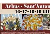 Sant’Antonio Santadi, giugno, giorni festa