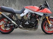 Suzuki 1100 Katana Shabon Dama