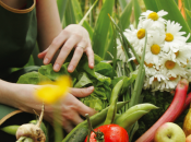 prezzo piu’ alto cibo biologico