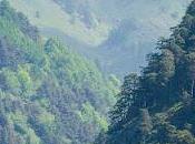 Haiku tarda primavera.