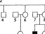 Alberi genealogici: esercizi soluzioni