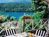 tornate fiorire Rose