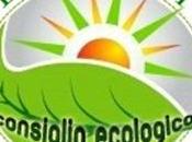 L’angolo consiglio ecologico: come riciclare vecchio solare