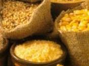 falsa soia biologica, sequestrate 1700 tonnellate.