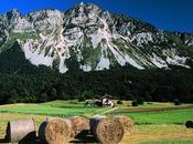 Vallagarina parla (inglese) Turismo Vino