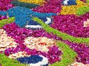 pranzo dell'Infiorata