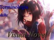 Terminologia delle Visual Novel