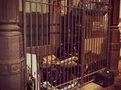 città misura abusivo