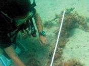 Alla ricerca tesoro golfo...