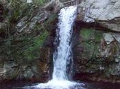 Lesbica osmize NoTav Tsunami Valute inesistenti