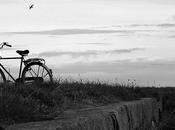 Tutto niente solo fuori tempo