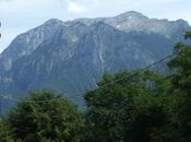 sono qui, usando coperchio svelto come gatto marmo.