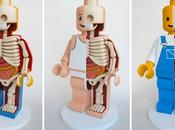 Anatomia Lego