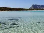 spiagge belle d’Italia Cala Brandinchi Teodoro